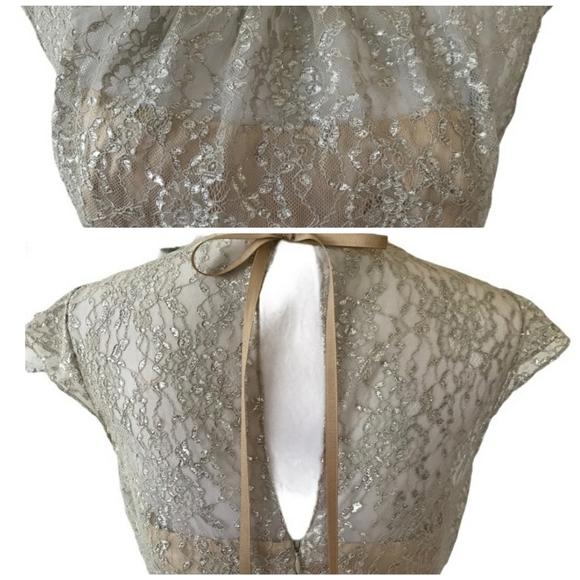 NEW RARE Slate & Willow Champagne Illusion Neckline Glistening Lace Spin Dress - Picture 11 of 16